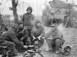 Неизвестные потери и забытые союзники