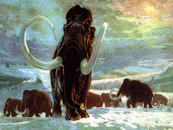 Почему мамонт стал лысым карликом