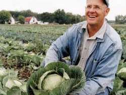 Сельхозпродукция из Голландии попадет под запрет