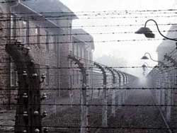 Во Львове концлагерь реконструируют под хостел