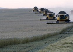 Россия впервые собирается превзойти все страны ЕС по экспорту пшеницы